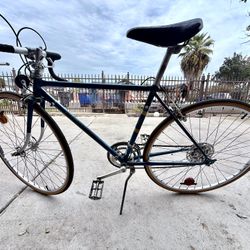Vintage Nishiki Japanese Road bike