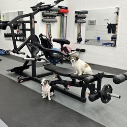 Complete Gym Fitness Equipment For Home Business Warehouse Garage