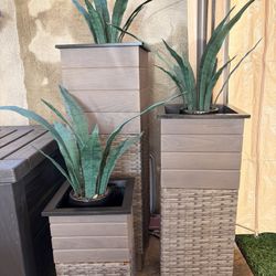Patio Planter Decor 
