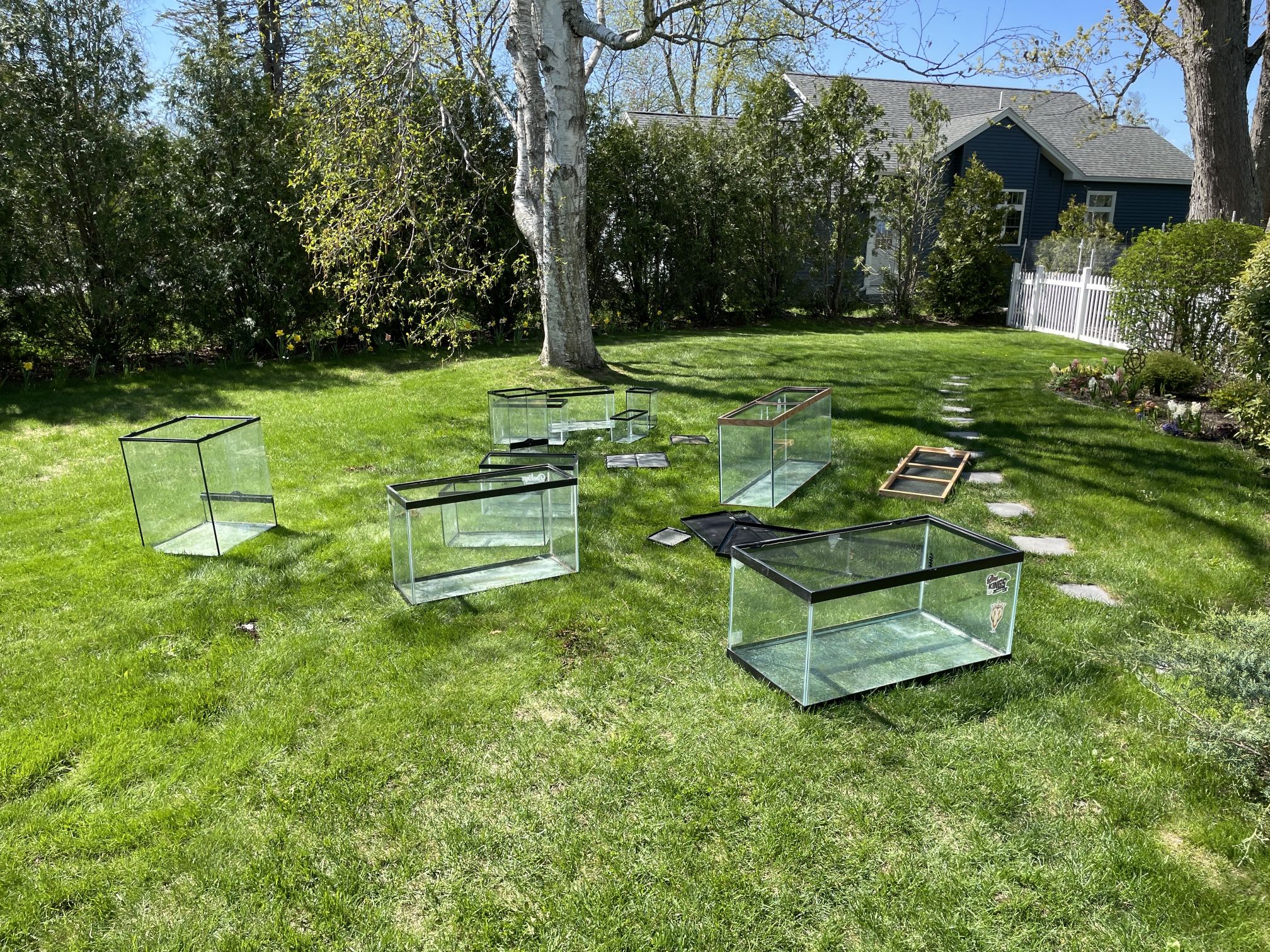 Reptile Enclosures/fish Tanks