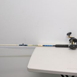 Fishing Pole And Reel 