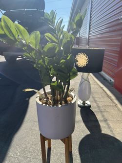 Artificial Plant