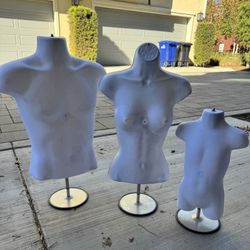 Mannequin Torsos 