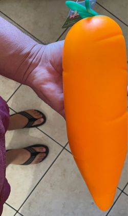 Jumbo carrot squishy sunny days