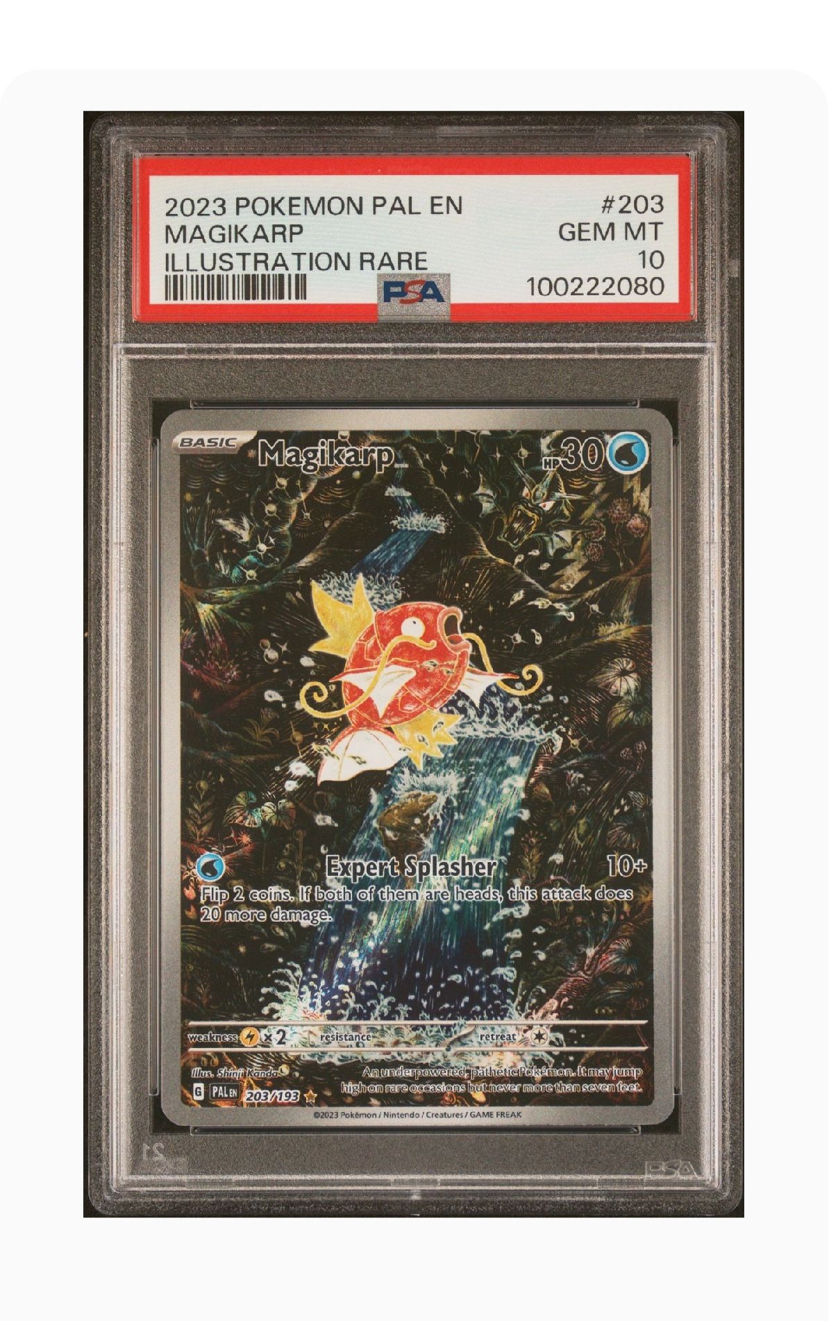 Pokemon Magikarp Paldea Evolved Psa 10