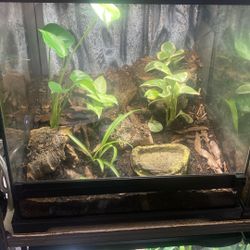 Exo Terra Tank 