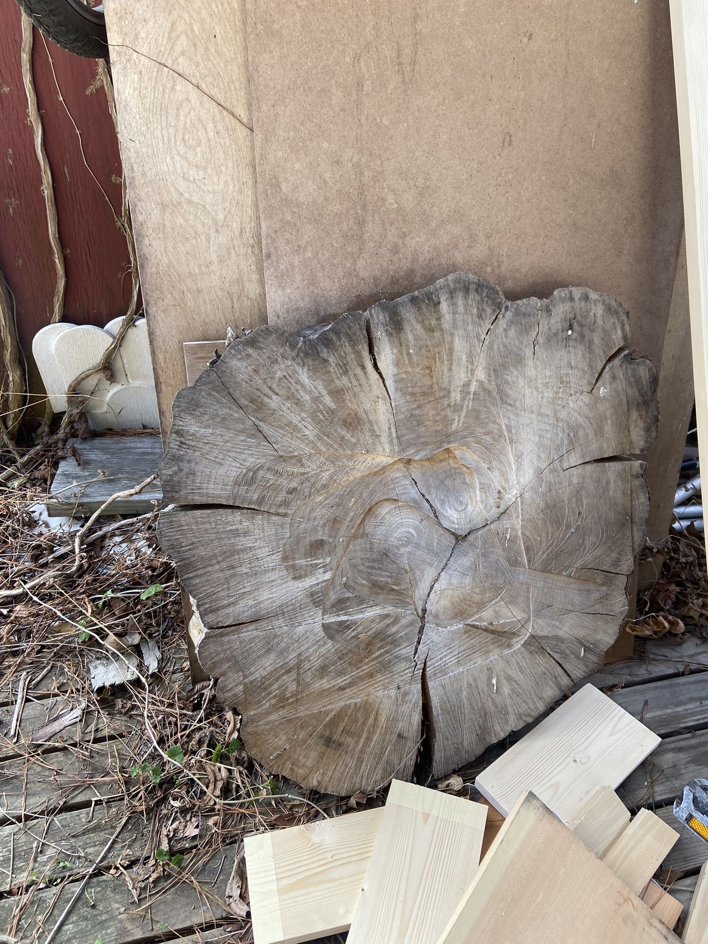 Crepe Myrtle Tree round