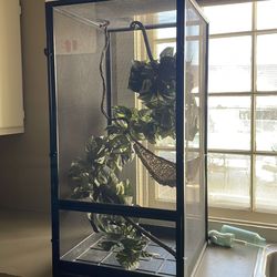 Small reptile enclosure