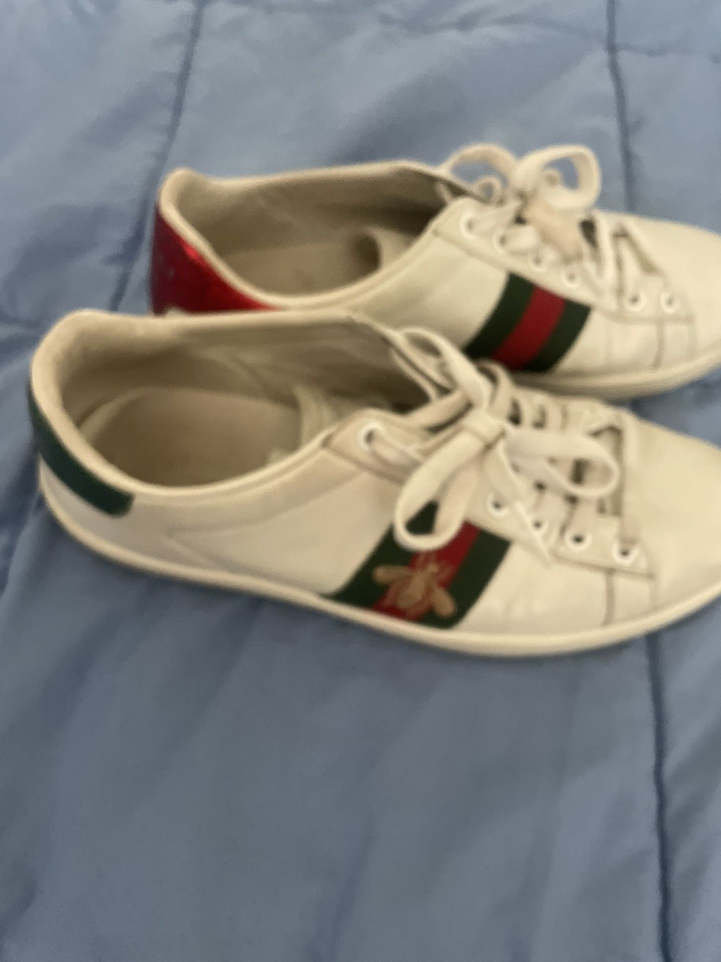Gucci Shoes