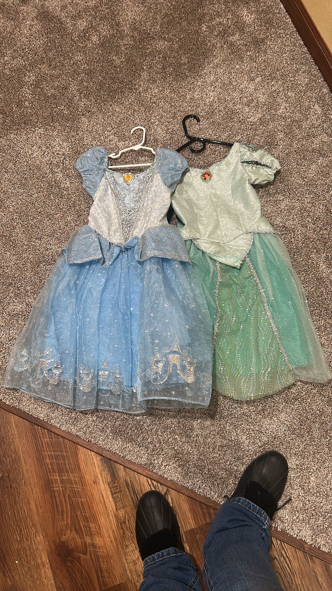 Walt Disney World/Land Cinderella And Ariel