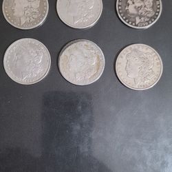 Morgan Silver Dollars