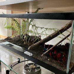 Terrarium 20 Gallon