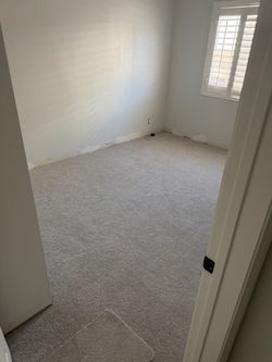 Carpet 12x14
