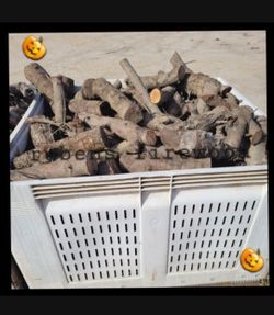 Firewood Seasoned Ready 