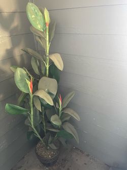 Tall fake plant tree