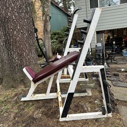 Commercial Incine bench 