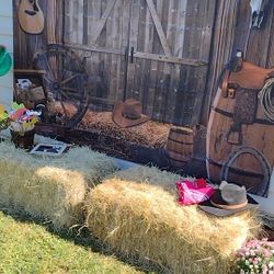 Western Photo Back Drop 