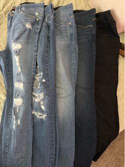 Torrid Jean Bundle