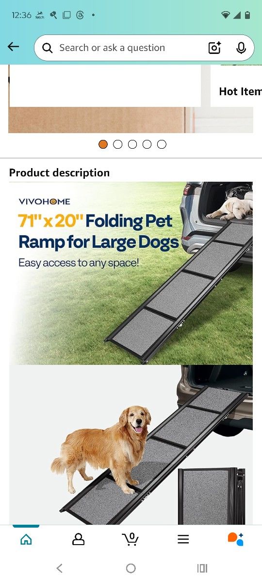 Foldable Ramp 