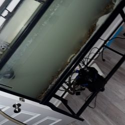 Premium 75-Gallon Aquarium Setup - The Perfect Balance of Size, Impact, and Possibility.