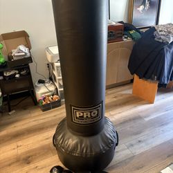 Pro Professional 180pd Free Standing Boxing Bag