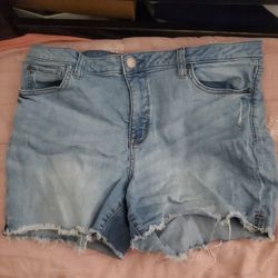 Blue Denim Shorts, Size 14