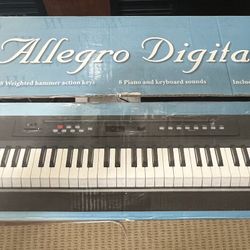 Big Piano With Stand