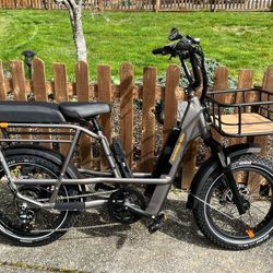 Rad Runner 3 Plus - MSRP 2199 - 19 Miles! Basically NEW