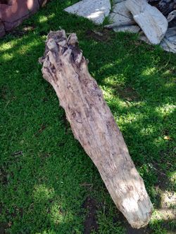 Natural Driftwood For Aquariums Terrariums Decor