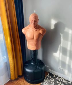 Boxing bag century bob