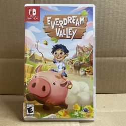 Nintendo Switch Game Everdream Valley 