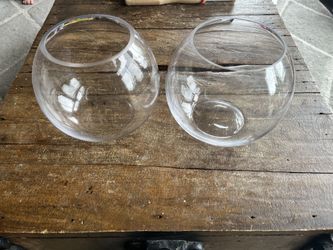 2 Globe-Shaped Glass Vases