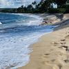 Kamalei