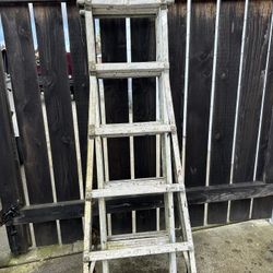 Little Giant Ladder