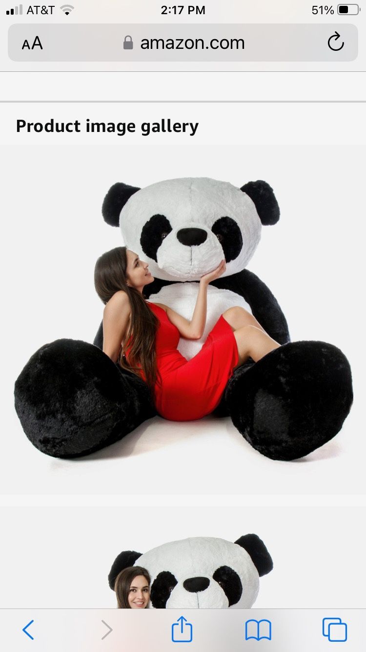 Stuffed Giant Panda Bear In It’s Bag