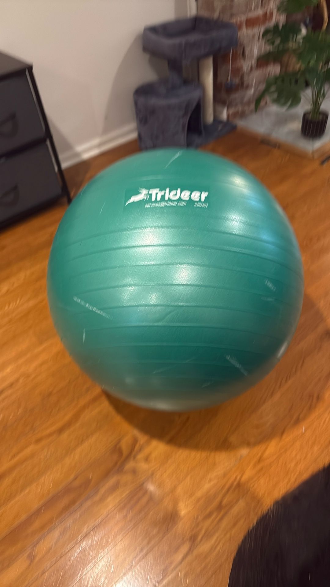 Yoga ball