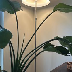 IKEA lamp shade