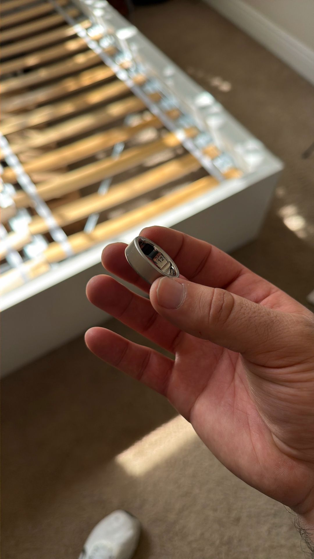 Oura Ring 12 Brushed Silver