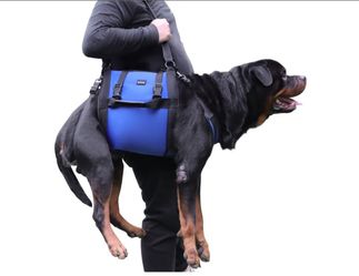 Dog Carry Sling, Emergency Backpack Pet Legs Support & Rehabilitation Dog Lift Harness for Large Dogs, Dog Carrier for Senior Dogs Joint Injuries, Art
