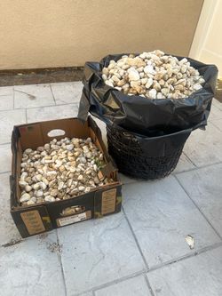 White rocks
