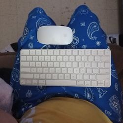 Magic Mouse & Magic Keyboard 