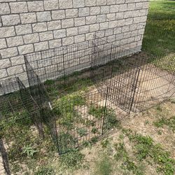 3 Dog Cages 