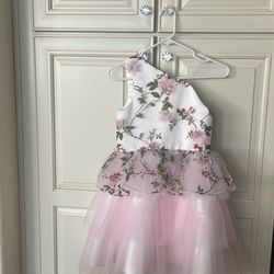 Beautiful JJ house girls dress size 12