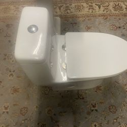 One Piece Toilet, Push Button