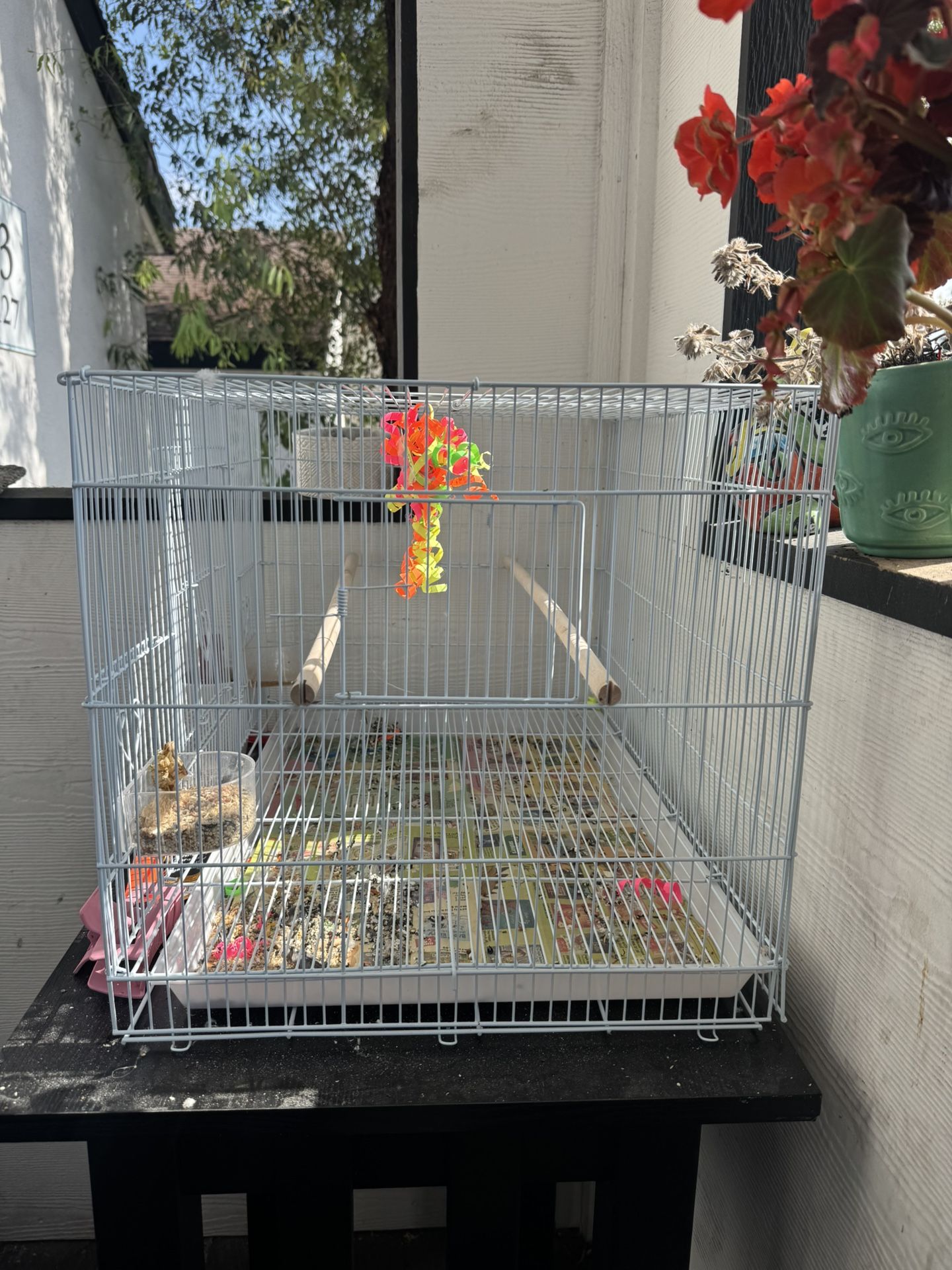 Bird Cage