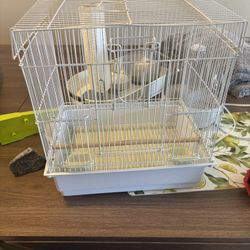 Bird Cage