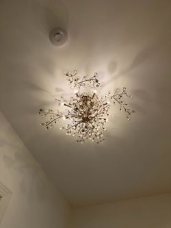 Designer Chandelier 25 in