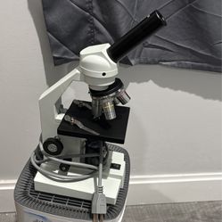 Amscope Compound Microscope