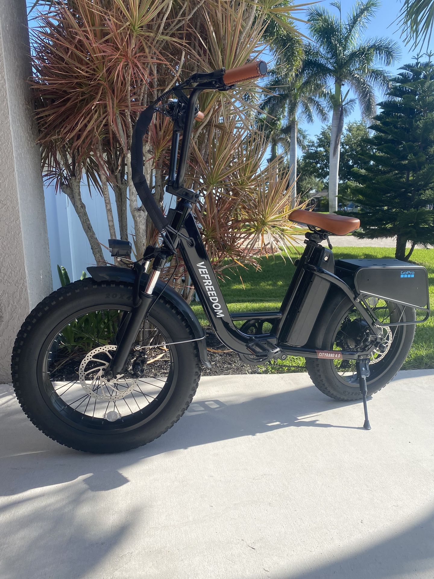 Bicicleta Eléctrica 