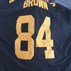 Steeler Jersey #84